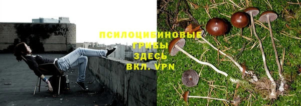 наркотики Абинск